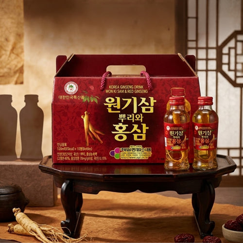 Red Ginseng Drink : Won Ki Sam120 ml × 10p - MayDay Mall
