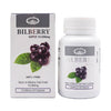 Premium bilberry dietary supplement capsules