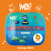 Australia Cairns Landmark Impact Mints Candy Tin - Orange