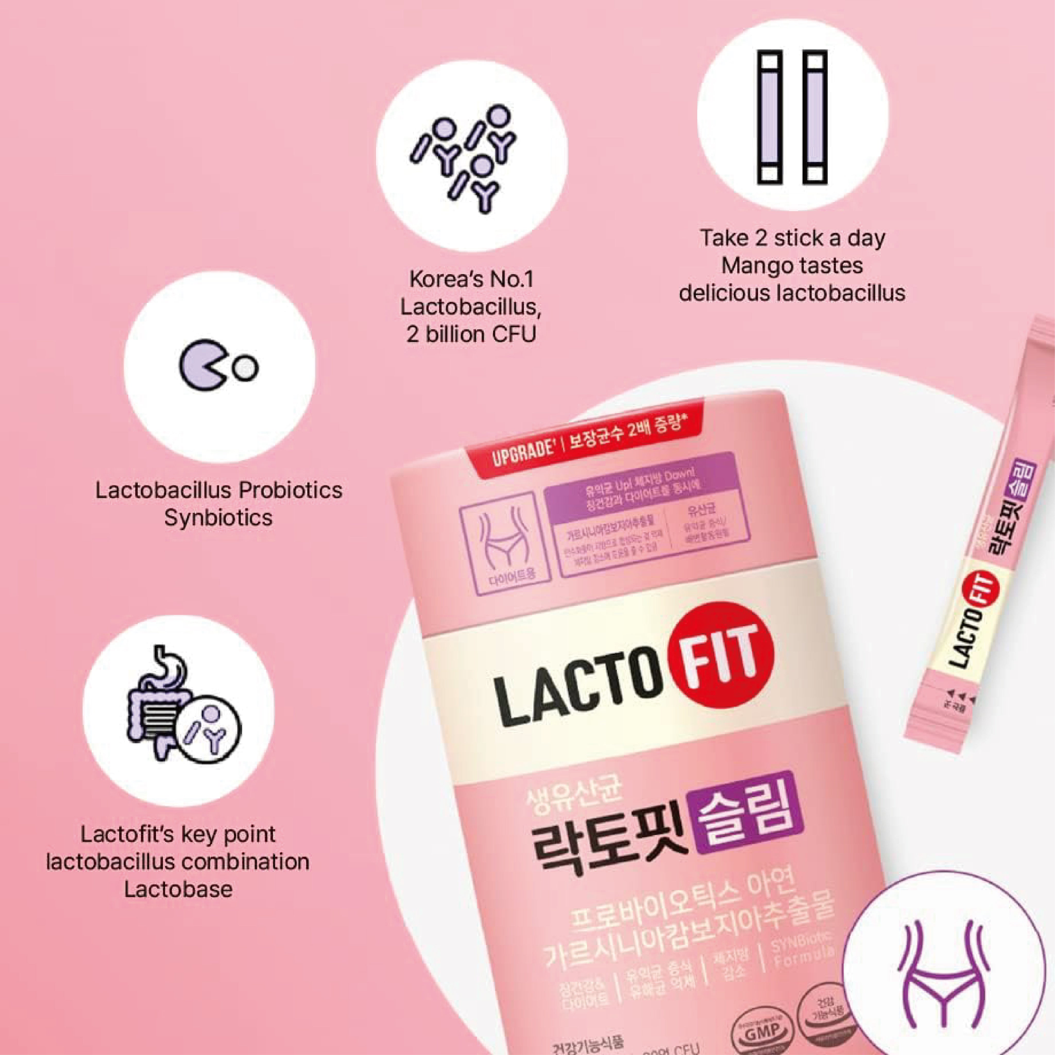 Lacto Fit Probiotics Slim - Weight Management Solution – MayDay Mall