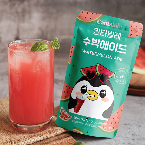 Cantabile Watermelon Ade 230ml x10 packs Korean drink