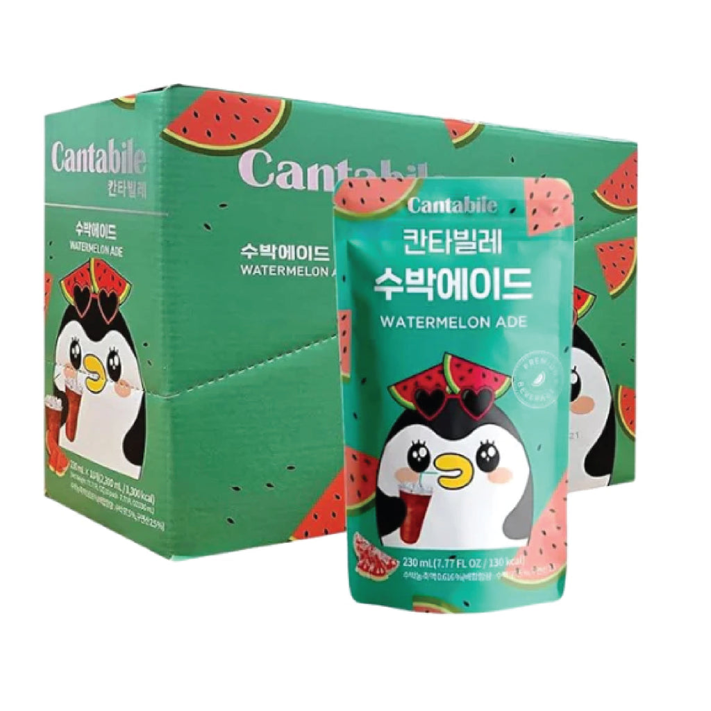 Refreshing watermelon ade Korean fruit drink